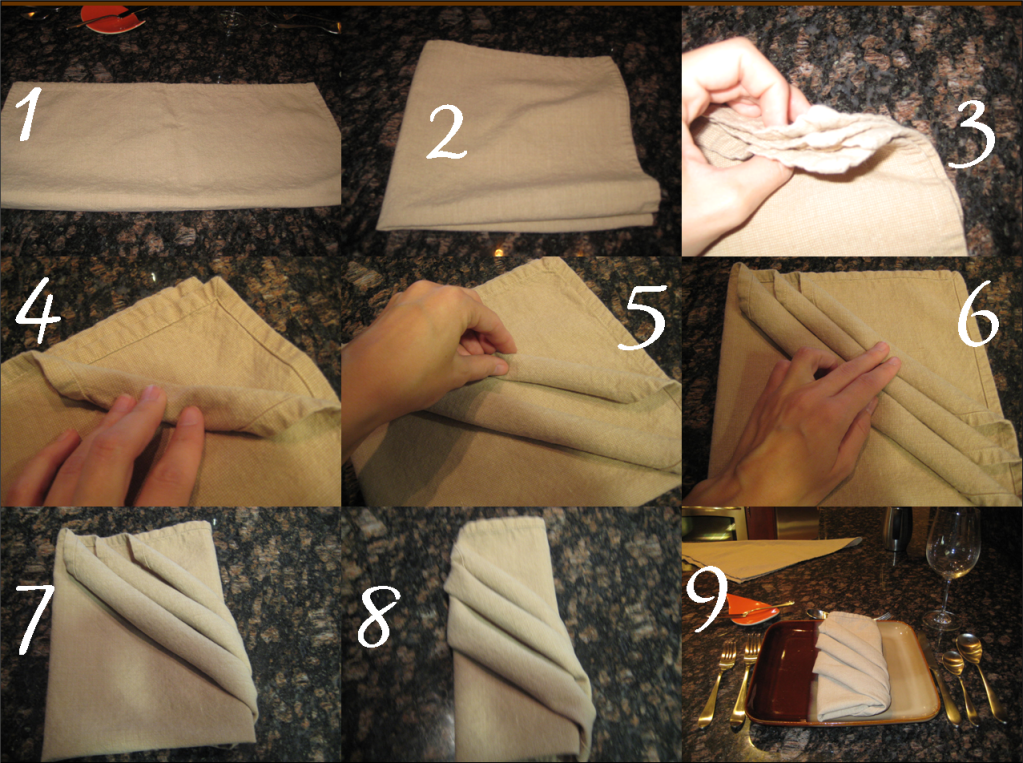 Fold napkin in half again (leaving the two folded edges on the left and 