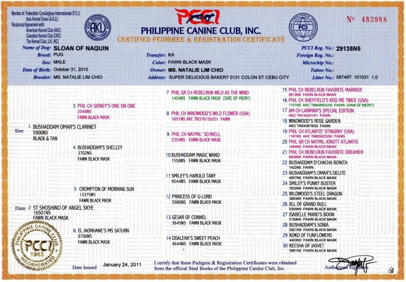 directory disposable email industry kitchen paper report research towel directory disposable email industry kitchen paper report research towel