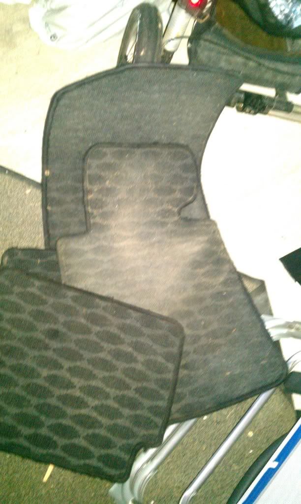 IMAG0733.jpg