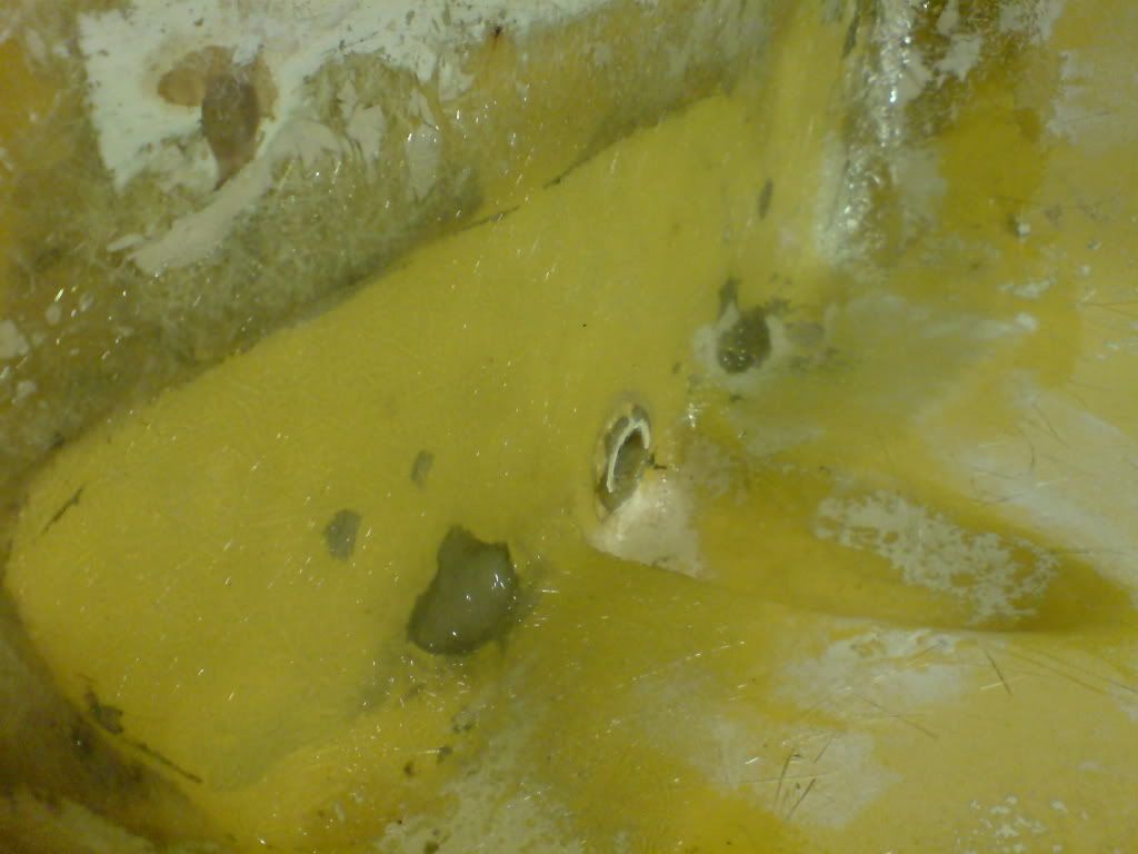 DSC01389.jpg