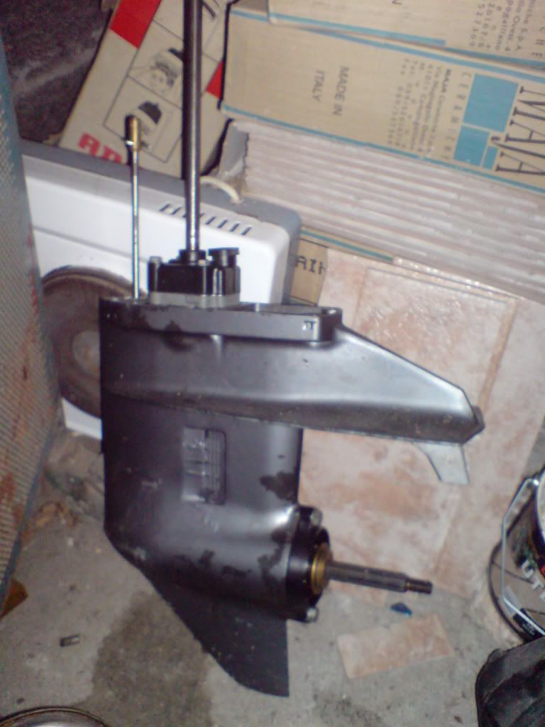 DSC01419.jpg