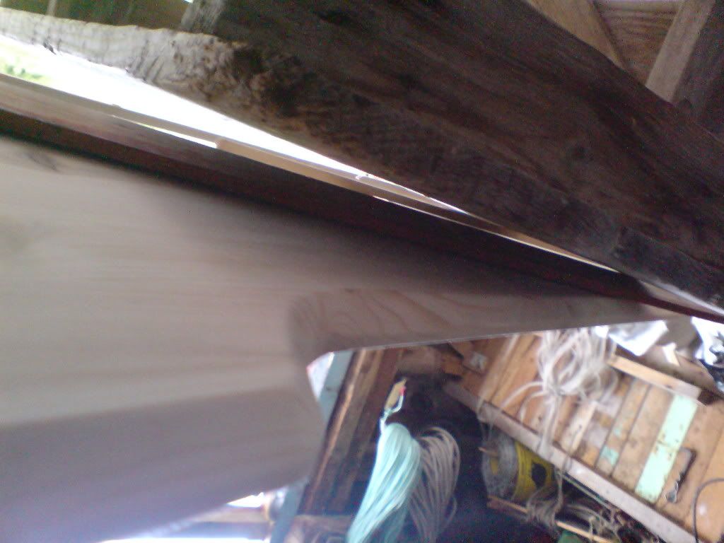 DSC01427.jpg