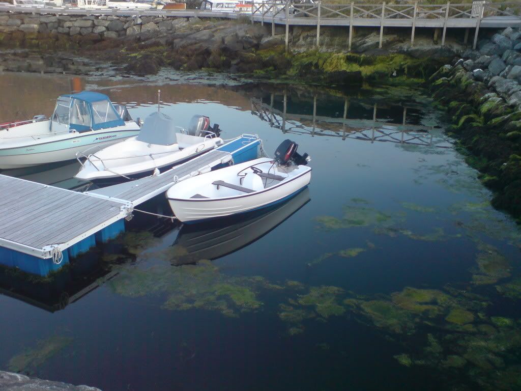 DSC01522.jpg
