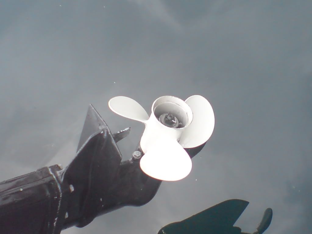 DSC01535-1.jpg