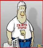stupid2.jpg