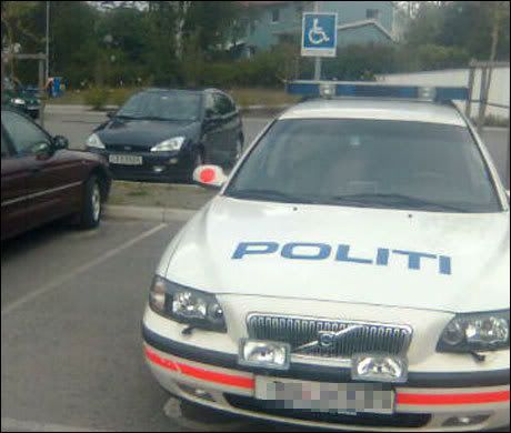 1217851419386_209.jpg?t=1232203726