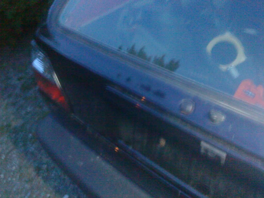 DSC00705.jpg?t=1243805856