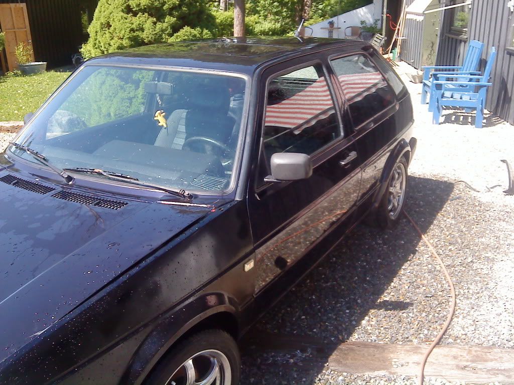 DSC00717.jpg?t=1243859892