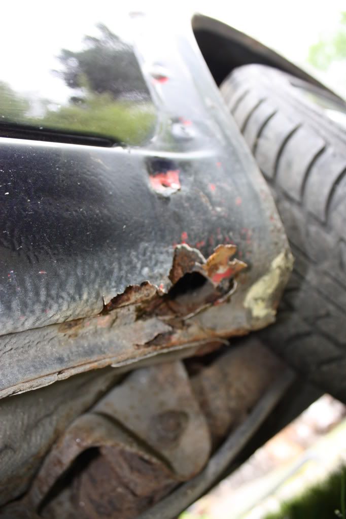 IMG_0343.jpg?t=1244892670