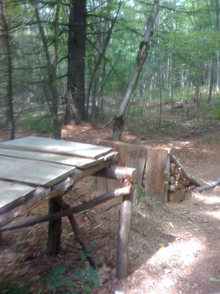 IMG_0217.jpg