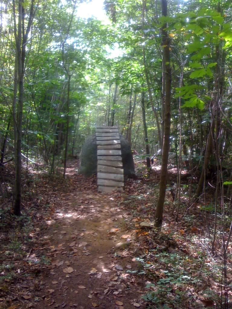 IMG_0221.jpg