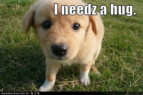 cute-puppy-pictures-outside-needs-h.jpg