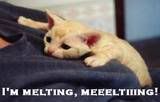 melting.jpg