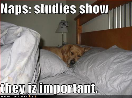 napsareimportant.jpg