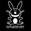 WHATEVERBUNNY.jpg WHATEVER BUNNY image by MOOCOWCAT_bucket