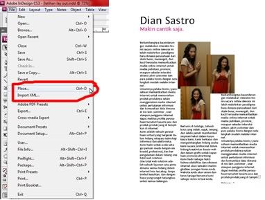 indesign coy