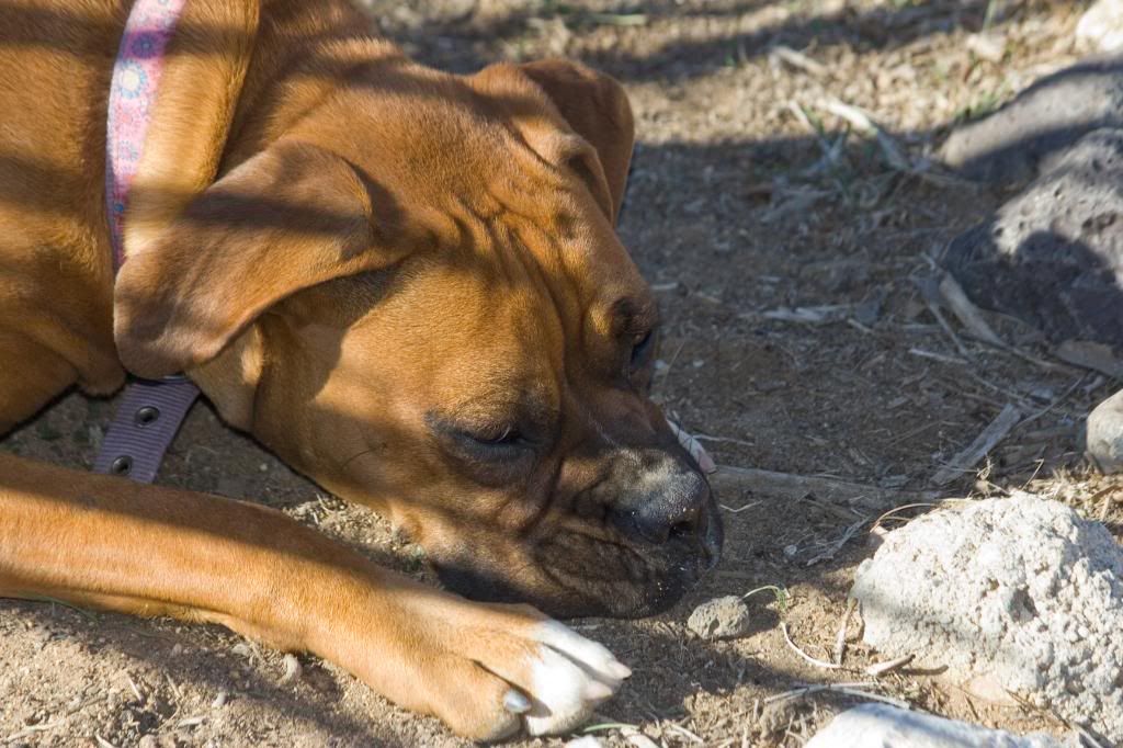 IMAGE: http://i295.photobucket.com/albums/mm129/adelanto100/148.jpg