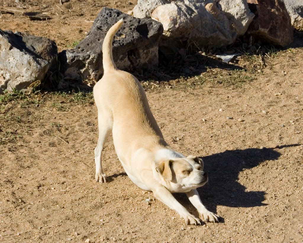 IMAGE: http://i295.photobucket.com/albums/mm129/adelanto100/159.jpg