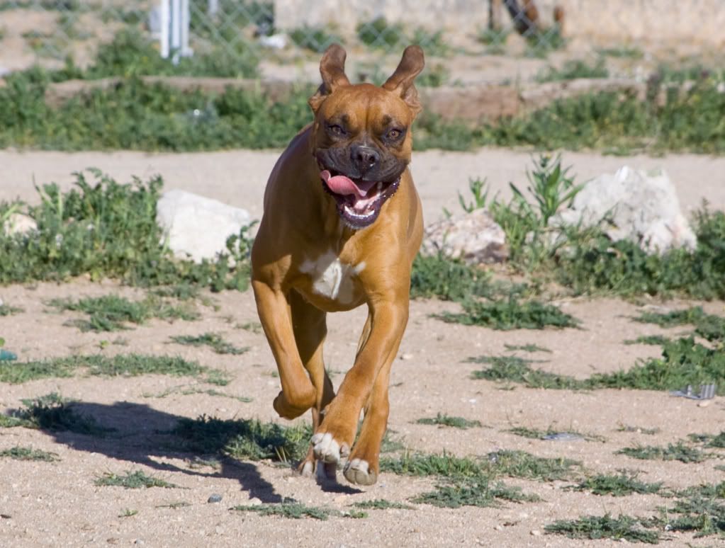 IMAGE: http://i295.photobucket.com/albums/mm129/adelanto100/234.jpg