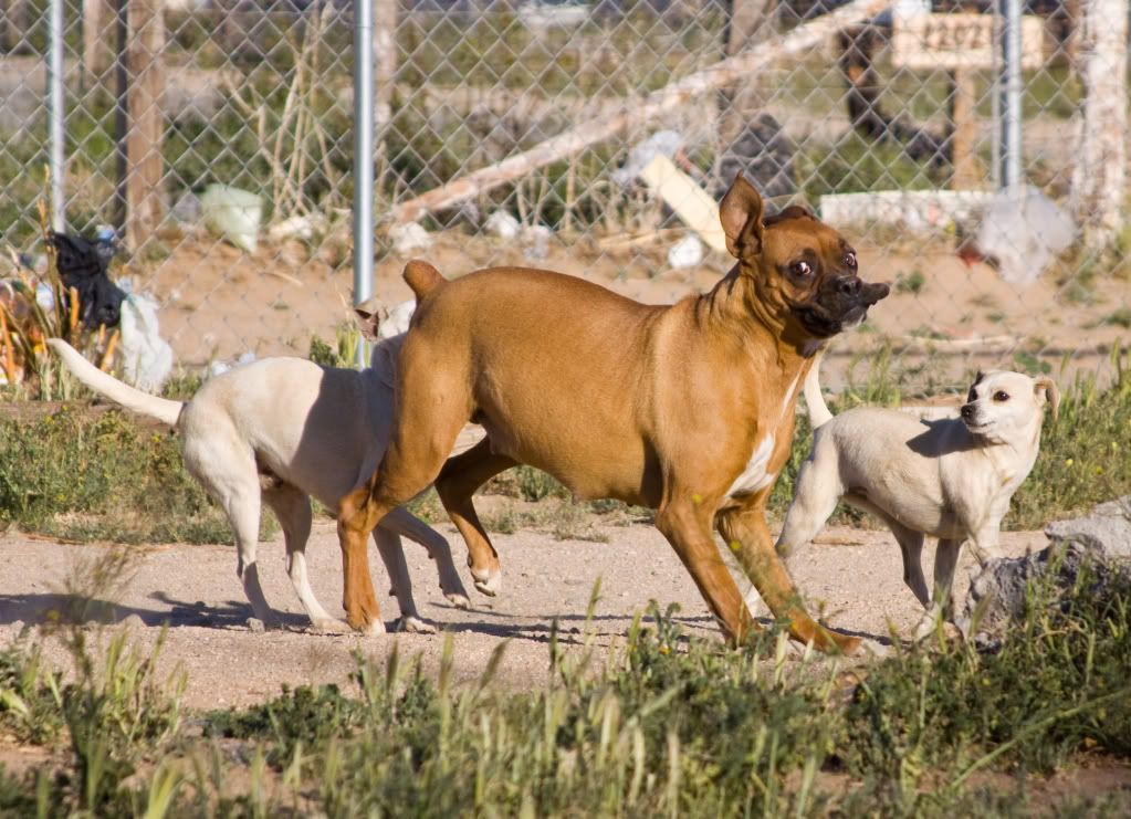 IMAGE: http://i295.photobucket.com/albums/mm129/adelanto100/257.jpg