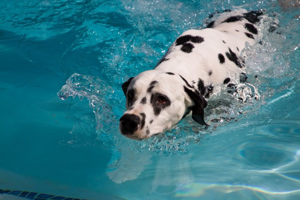 IMAGE: http://i295.photobucket.com/albums/mm129/adelanto100/32-3.jpg