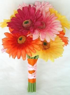 Gerber+daisies+pictures