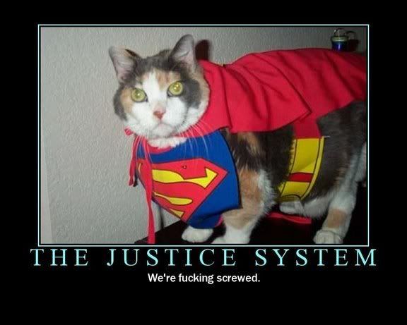 funny cat superman