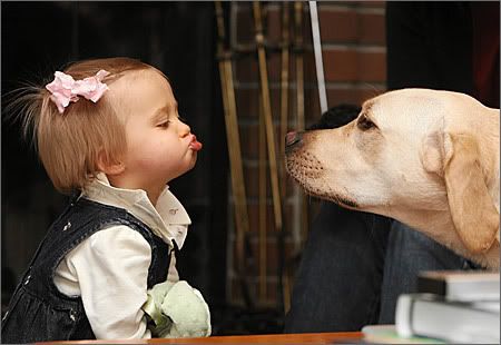 Girl and Dog Pictures, Images and Photos