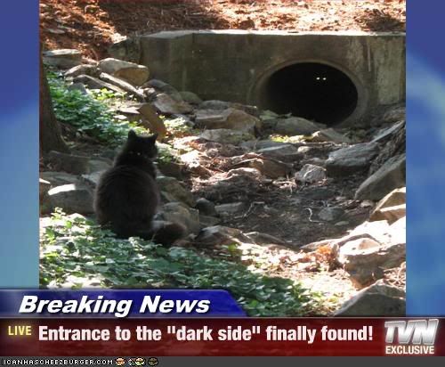 Come to the Dark side photo: Entrance to the Dark Side funny-pictures-cat-finds-entrance-t.jpg