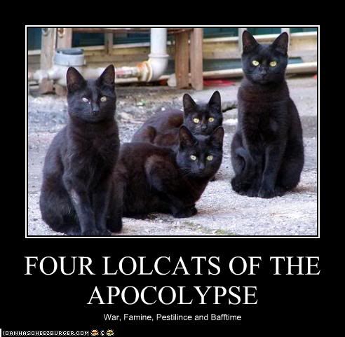 apocalypse now photo: Lolcats of the Apocalypse funny-pictures-four-lolcats-of-the-.jpg