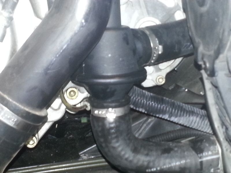 20120829_094903-1.jpg