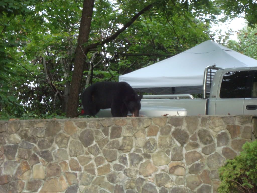 DSC00582.jpg
