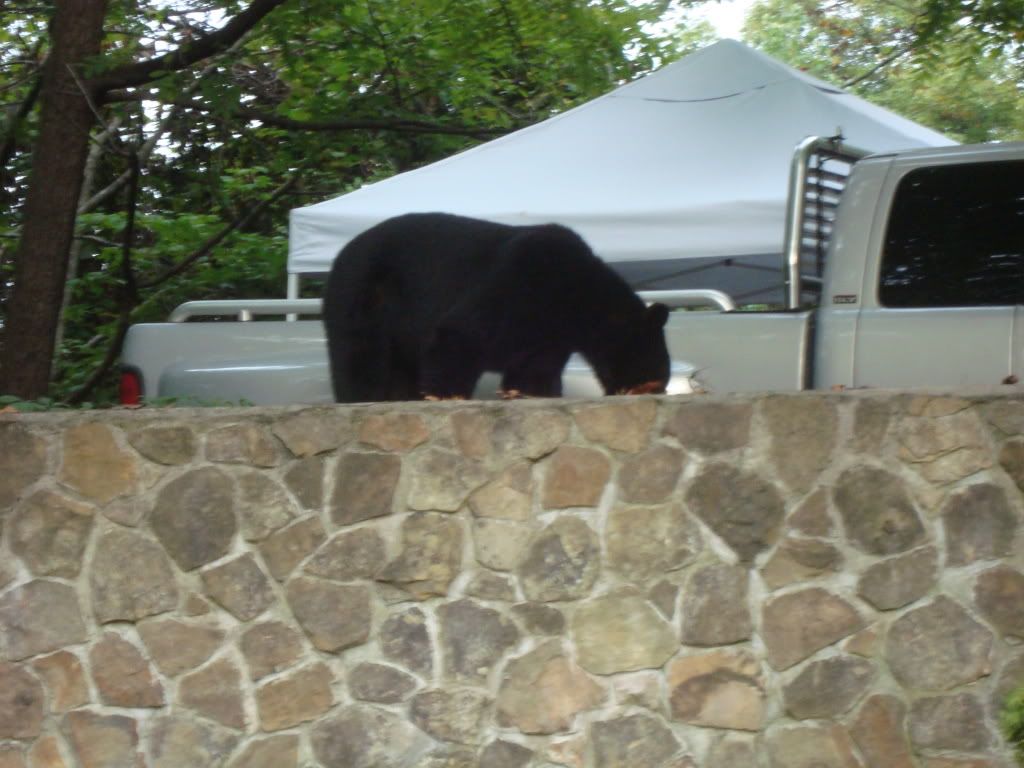 DSC00583.jpg