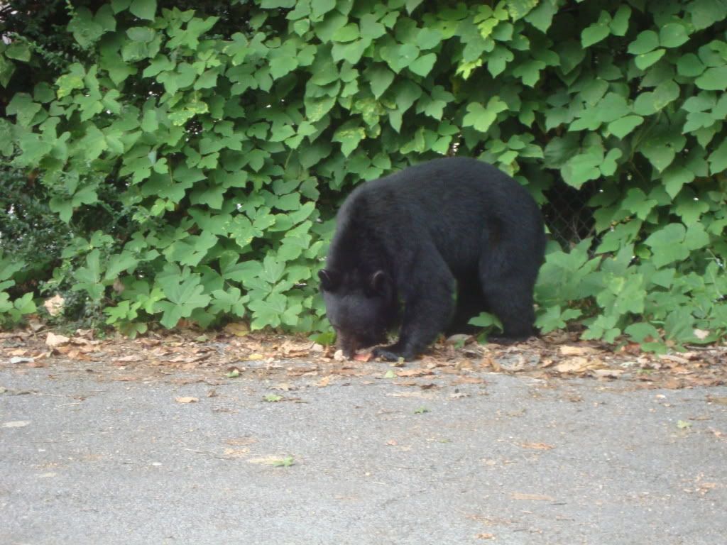 DSC00587.jpg