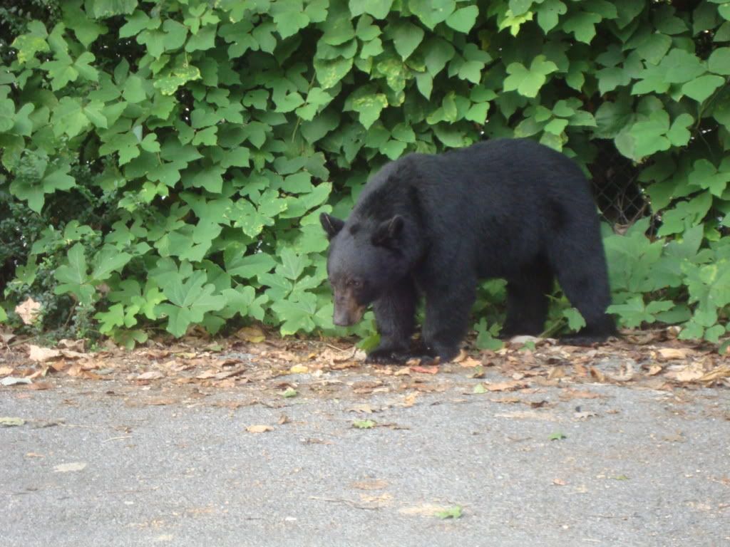 DSC00589.jpg