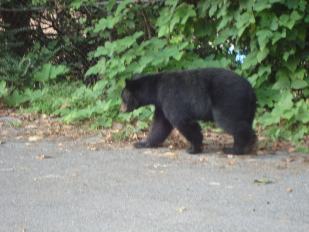 DSC00591.jpg