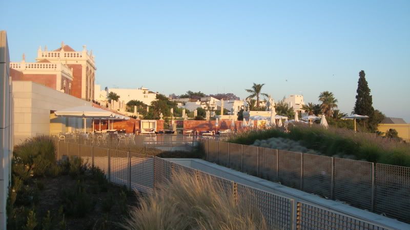 DSC00981.jpg