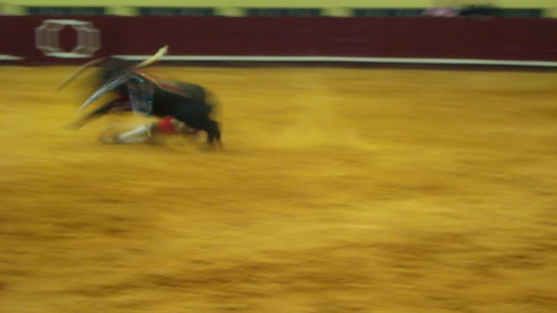 DSC01031.jpg