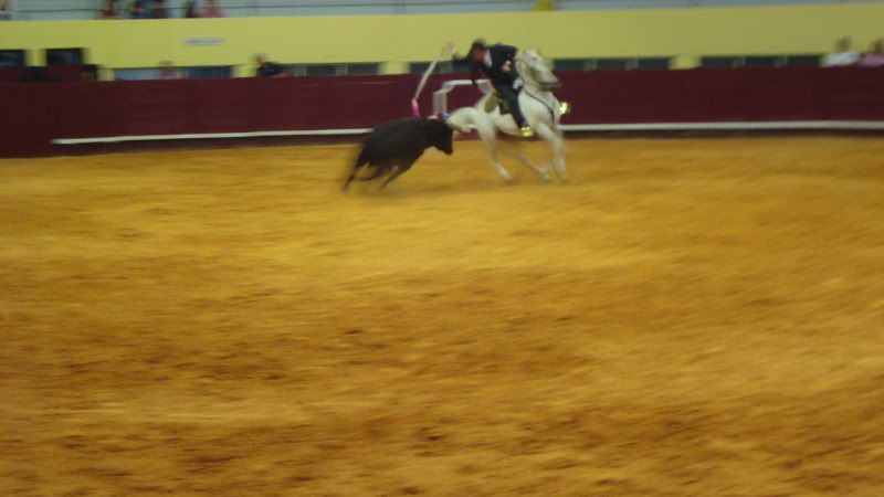 DSC01041.jpg