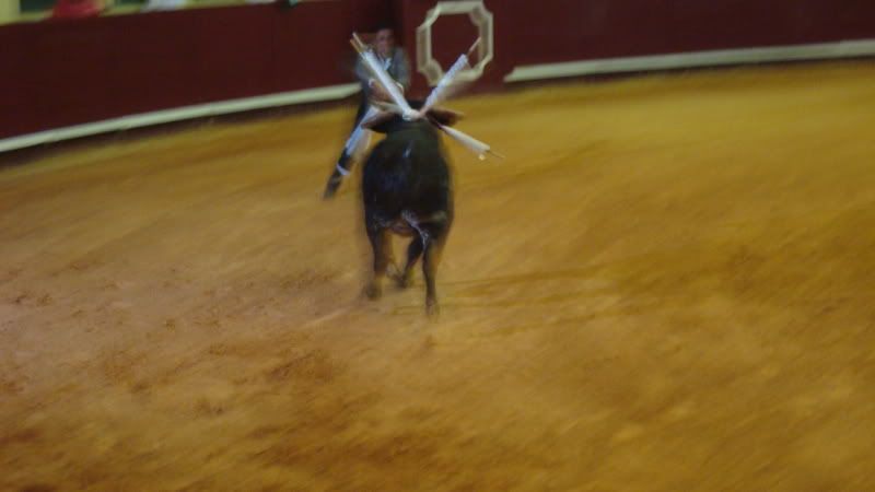 DSC01064.jpg
