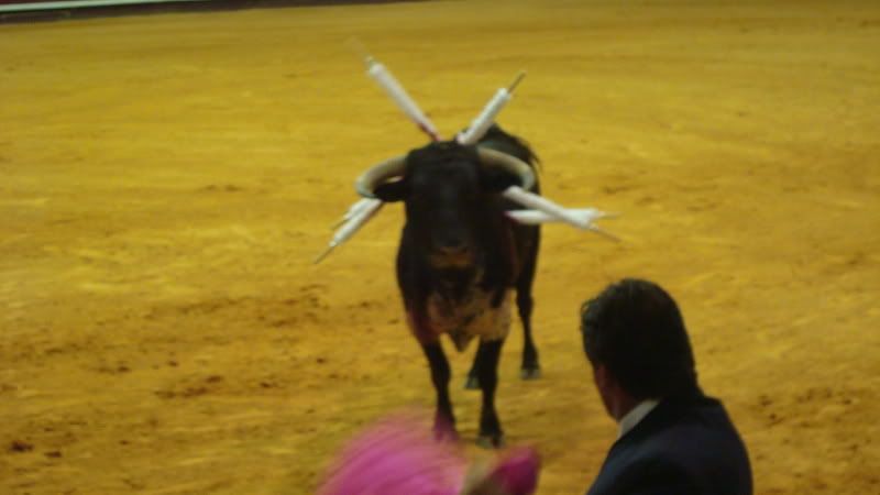 DSC01078.jpg