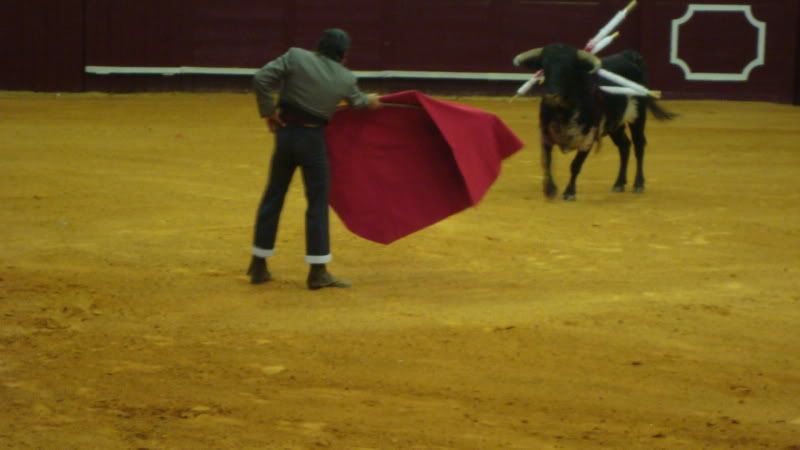 DSC01082.jpg