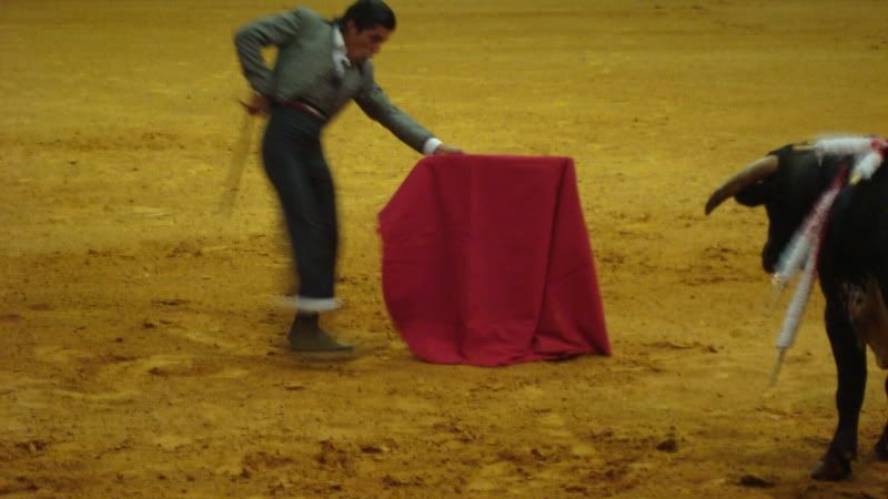 DSC01085.jpg