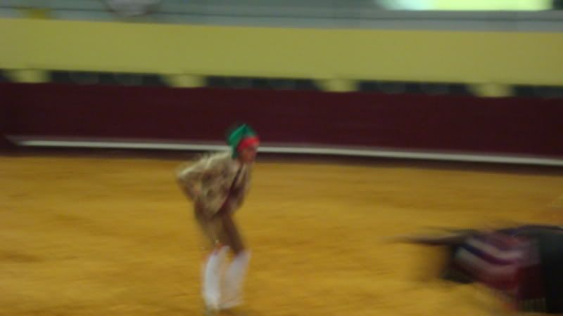 DSC01106.jpg