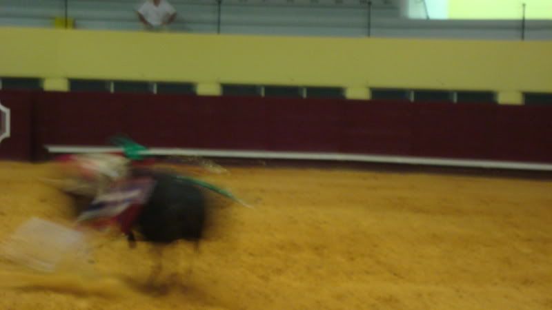 DSC01107.jpg