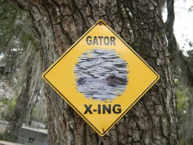 DSCN0130.jpg