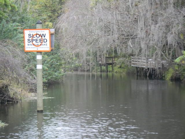 DSCN0132.jpg
