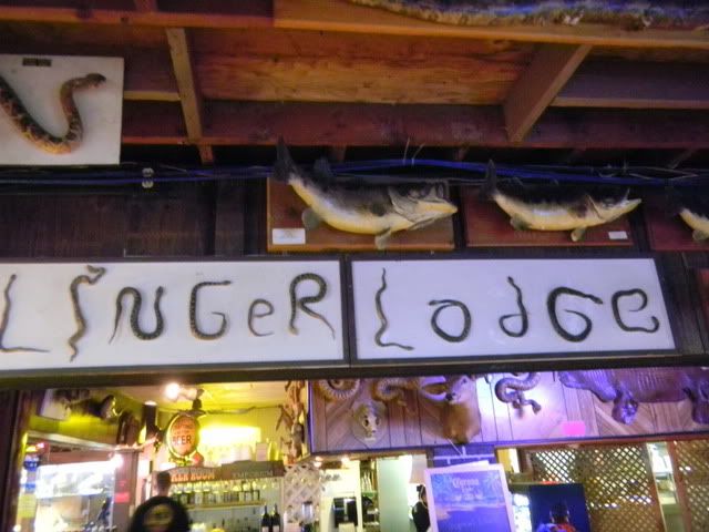 DSCN0144.jpg