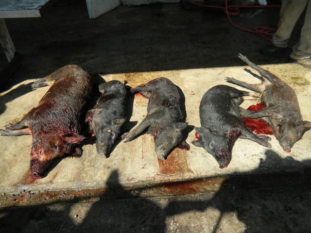 DSCN0165.jpg