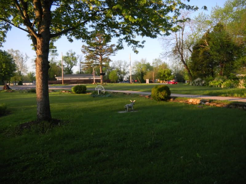 DSCN0252.jpg